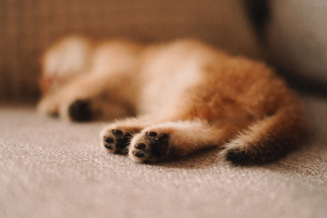 盯着拾荒老人不放，是怜悯？还是想遮羞？